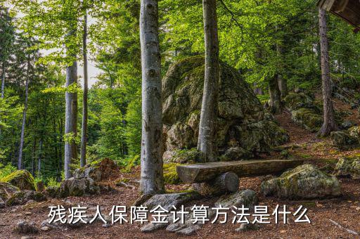 廣西殘疾人保障金如何計(jì)算，殘疾人保障金怎么計(jì)算