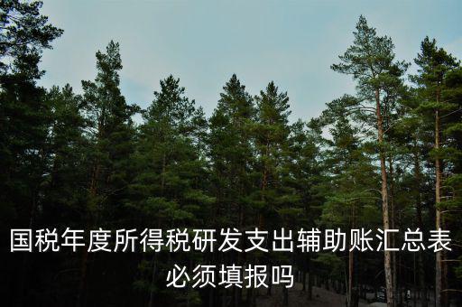 研發(fā)支出輔助賬匯總表該如何填寫，什么企業(yè)需要填 研發(fā)支出輔助賬匯總表