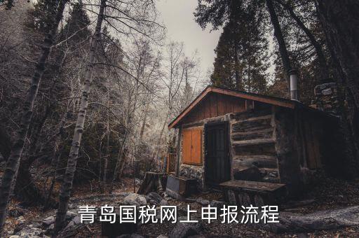 青島國地稅如何申報，國稅怎么申報