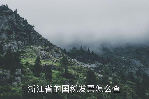 浙江的定額發(fā)票如何查詢，浙江省的國(guó)稅發(fā)票怎么查