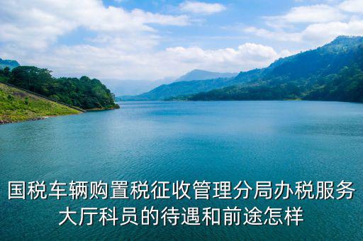 辦稅員工資如何，國稅車輛購置稅征收管理分局辦稅服務(wù)大廳科員的待遇和前途怎樣