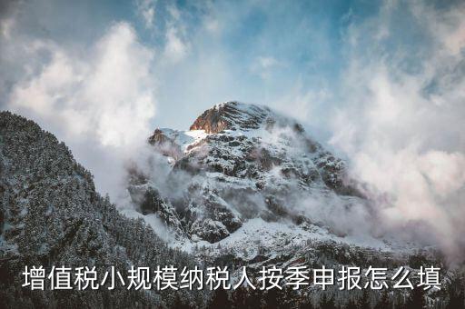 小規(guī)模納稅人如何按季申報(bào)，增值稅小規(guī)模納稅人按季申報(bào)怎么填