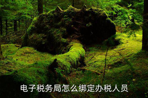 如何在稅務(wù)局添加實(shí)名制辦稅人，電子稅務(wù)局怎么綁定辦稅人員