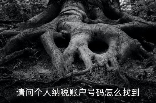 如何查詢個人稅務編號查詢，如何查看個人名下的稅務證