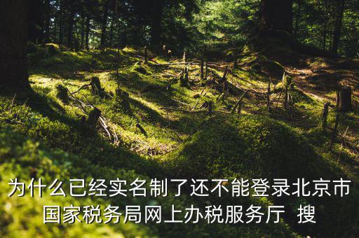 為什么已經實名制了還不能登錄北京市國家稅務局網上辦稅服務廳  搜