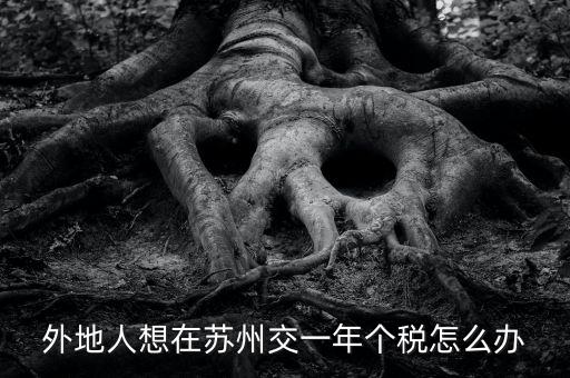 蘇州如何補繳個稅，外地人想在蘇州交一年個稅怎么辦