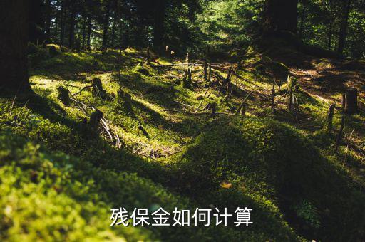 2016年杭州殘疾人保障金如何計(jì)算方法，殘疾人保障金計(jì)算方式