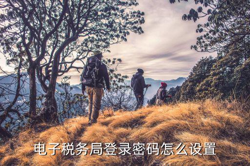 如何修改湖南省網(wǎng)上稅務(wù)局密碼，電子稅務(wù)局登錄密碼怎么設(shè)置