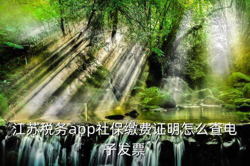 江蘇稅務app社保繳費證明怎么查電子發(fā)票