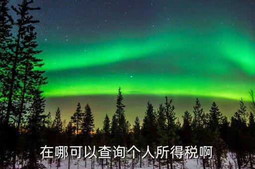 如何查詢個人所得稅記錄，在哪可以查詢個人所得稅啊