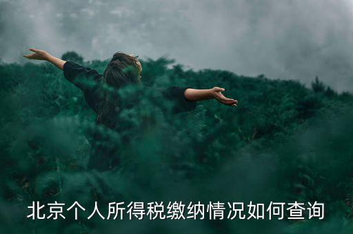 北京地稅個(gè)人如何查詢，如何查詢個(gè)人所得稅繳稅記錄
