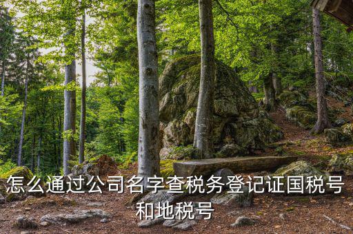 如何查詢企業(yè)國(guó)稅，怎么通過(guò)公司名字查稅務(wù)登記證國(guó)稅號(hào)和地稅號(hào)