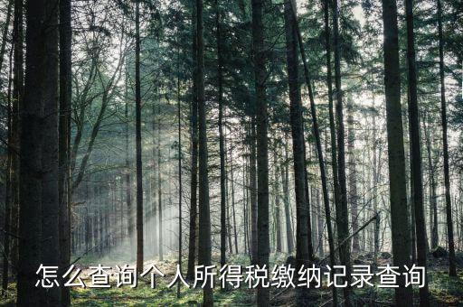 沈陽(yáng)如何查個(gè)人所得稅繳費(fèi)明細(xì)，如何查詢個(gè)人所得稅申報(bào)明細(xì)情況