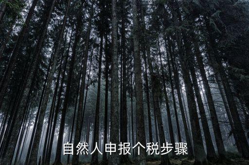 自然人稅收如何申報(bào)表，自然人申報(bào)個(gè)稅步驟
