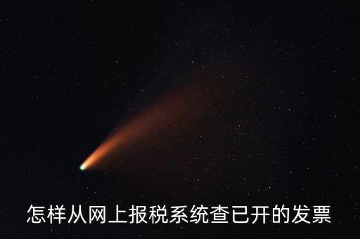 怎樣從網(wǎng)上報(bào)稅系統(tǒng)查已開(kāi)的發(fā)票