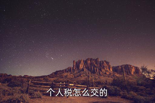 自然人如何繳納個(gè)稅，個(gè)人稅怎么交的