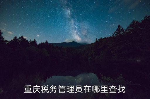 國稅網(wǎng)站如何查詢管理員，重慶稅務管理員在哪里查找