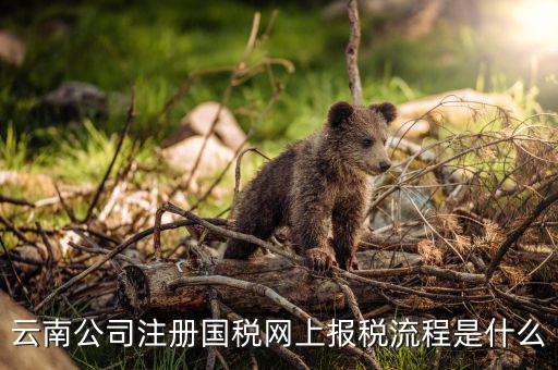 如何進入云南網(wǎng)上稅務(wù)申報系統(tǒng)，如何進行網(wǎng)上稅務(wù)申報