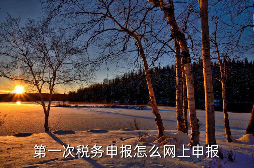 新網(wǎng)稅務(wù)如何申報，如何網(wǎng)上稅務(wù)申報
