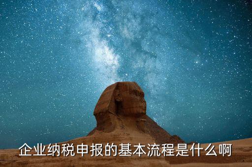 施工企業(yè)如何申報(bào)稅，企業(yè)納稅申報(bào)的基本流程是什么啊