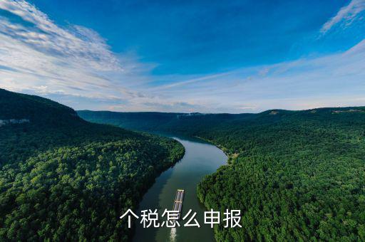 商業(yè)保險個稅如何申報，商業(yè)保險怎么可以抵扣個人所得稅