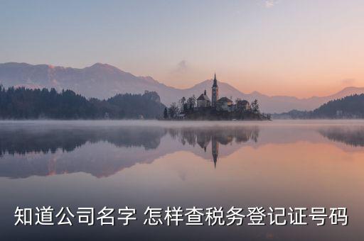 公司國稅編號如何查詢系統(tǒng)，公司的稅務(wù)登記證號怎么查詢