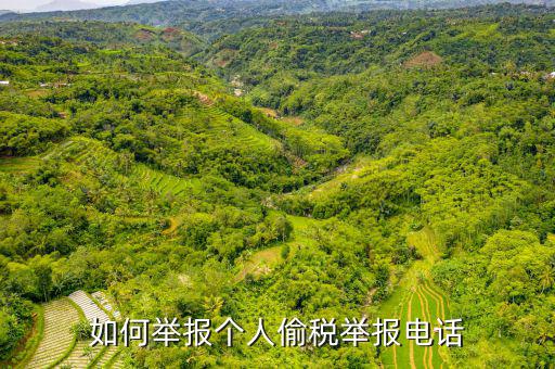 如何去稽查局 舉報(bào)電話，如何舉報(bào)個(gè)人偷稅舉報(bào)電話