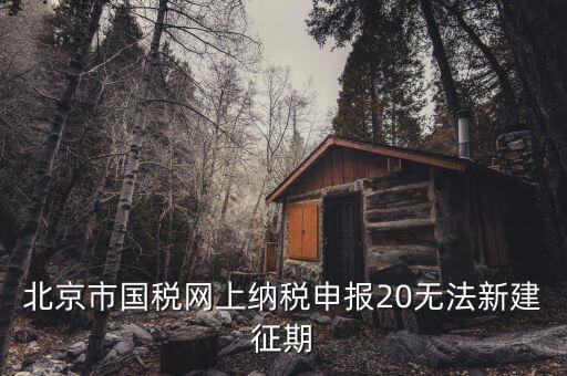 國(guó)稅系統(tǒng)如何建立征期，北京國(guó)稅網(wǎng)上申報(bào)系統(tǒng)是不是只能在每個(gè)月初才可以新建征期呢我