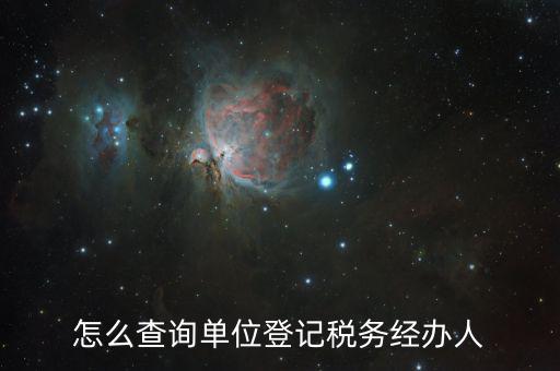 怎么查詢單位登記稅務經辦人