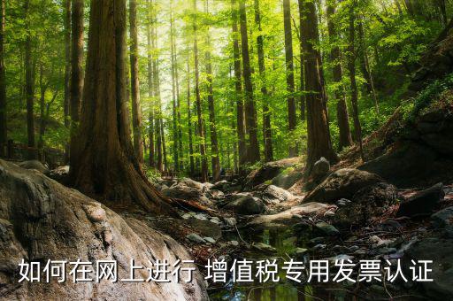增值稅專用票如何在網(wǎng)上申請(qǐng)，購買增值稅專用發(fā)票要先在網(wǎng)上怎么操作