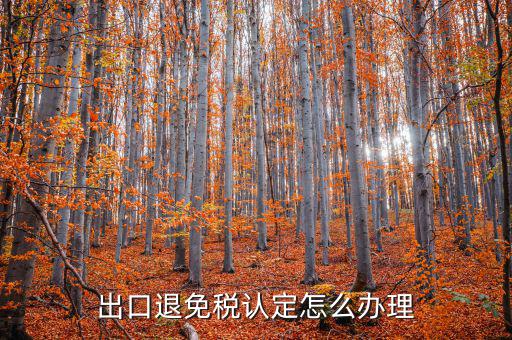 企業(yè)出口免退稅如何辦理，外貿(mào)公司出口免稅產(chǎn)品在出口退稅系統(tǒng)里面該如何辦理免稅申報(bào)