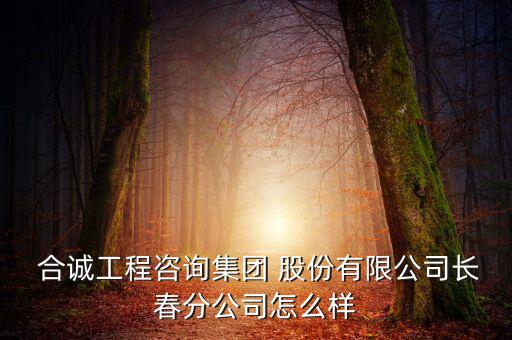 合誠股份怎么樣,廣州合誠化工有限公司債務(wù)由合誠工程咨詢承擔