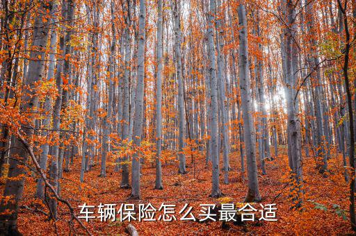 車(chē)輛保險(xiǎn)怎么買(mǎi)最合適