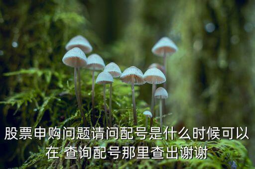大智慧怎么查詢(xún)中簽,新股申購(gòu)須知多少?