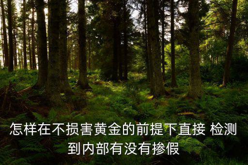 怎樣在不損害黃金的前提下直接 檢測(cè)到內(nèi)部有沒有摻假