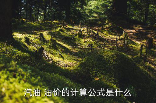 油價(jià)是怎么算的,汽車(chē)百公里油耗多少?一般來(lái)說(shuō)八九成