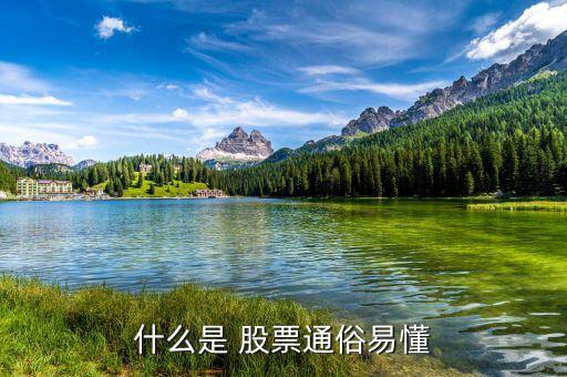 怎么懂股票,股票基礎(chǔ)、股票定投、投資書籍等資源免費(fèi)下載