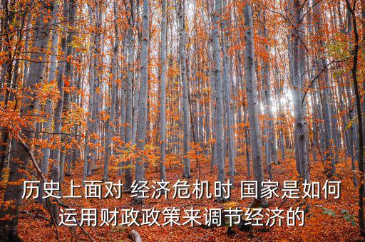 歷史上面對(duì) 經(jīng)濟(jì)危機(jī)時(shí) 國家是如何運(yùn)用財(cái)政政策來調(diào)節(jié)經(jīng)濟(jì)的