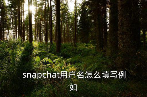 snapchat用戶名怎么填寫(xiě)例如