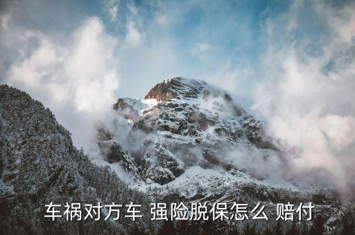  車(chē)禍對(duì)方車(chē) 強(qiáng)險(xiǎn)脫保怎么 賠付
