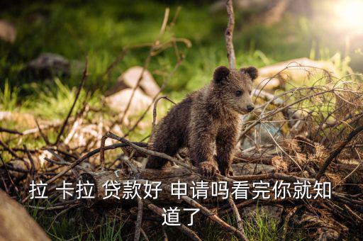 拉卡拉怎么申請(qǐng)貸款,貸款用戶(hù)怎么貸款?