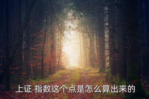  上證 指數(shù)這個點(diǎn)是怎么算出來的