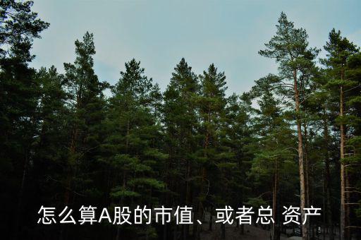 怎么算A股的市值、或者總 資產(chǎn)