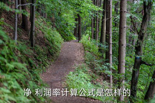 ebitda利潤(rùn)率怎么算,net利潤(rùn)率比凈利潤(rùn)更能說(shuō)明問題