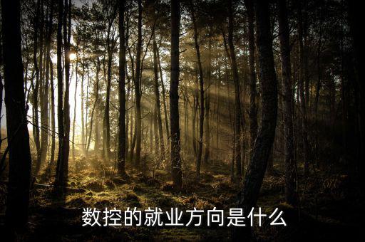 法因數(shù)控怎么樣,數(shù)控設(shè)備管理高級技術(shù)型、應(yīng)用型專業(yè)人才