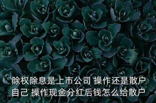  除權(quán)除息是上市公司 操作還是散戶(hù)自己 操作現(xiàn)金分紅后錢(qián)怎么給散戶(hù)