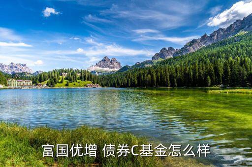 嘉實(shí)債券怎么樣,短債基金包括諾安債券、友邦短債、嘉實(shí)超短債