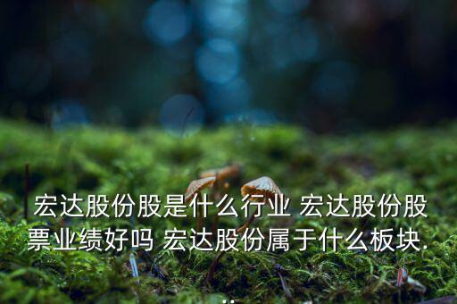 四川宏達(dá)集團怎么樣,周一開始介紹宏達(dá)股和朋友一起關(guān)注吧