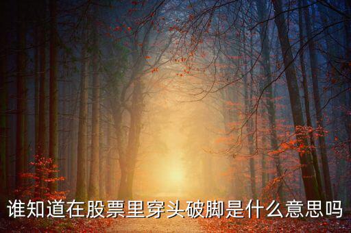 誰(shuí)知道在股票里穿頭破腳是什么意思嗎