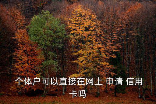  個(gè)體戶(hù)可以直接在網(wǎng)上 申請(qǐng) 信用卡嗎